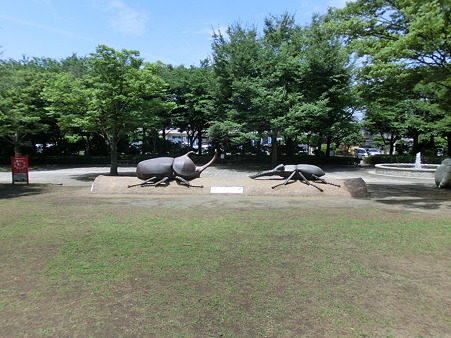 CIMG0143