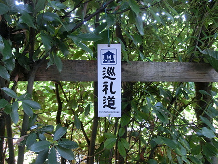 CIMG0217