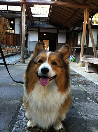 写真 2