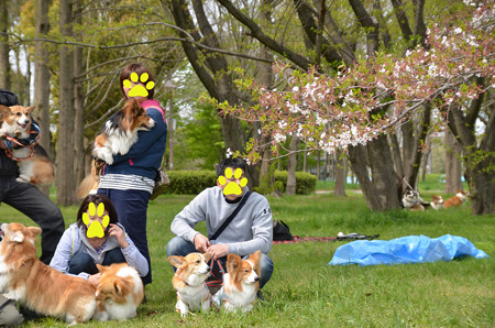 DSC_7404_edited-1