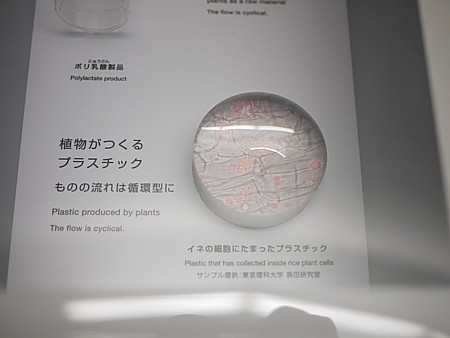 高度な科学館