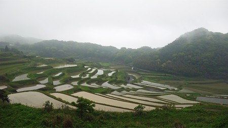 土谷棚田(2)