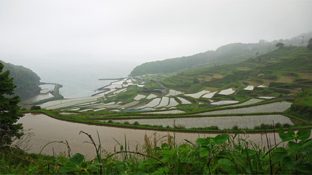 土谷棚田(1)