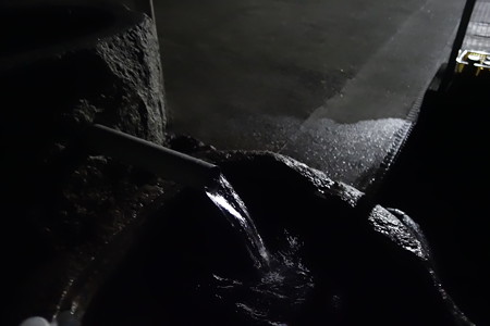 高瀬湧水の庭