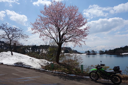 DSC02503