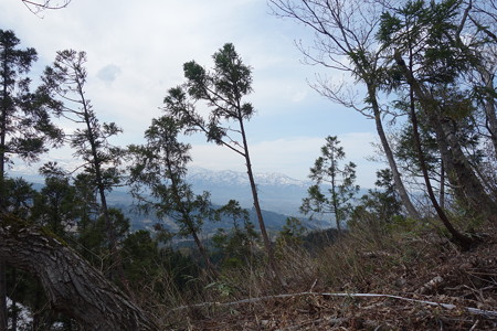 DSC02512