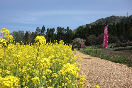 DSC02841