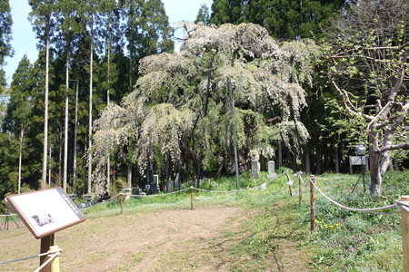 DSC02843