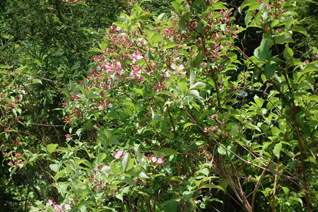 DSC03209