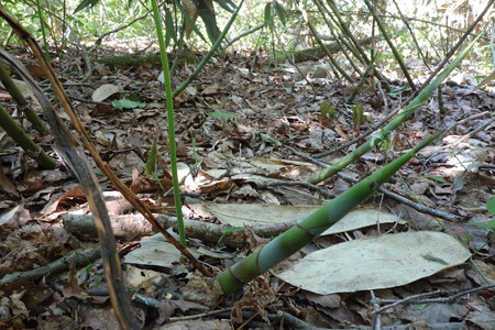 DSC03490