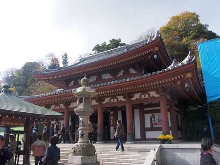 hasetera_kamkura31