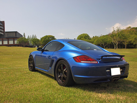 P4262962S