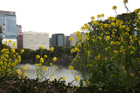 DSC05839m