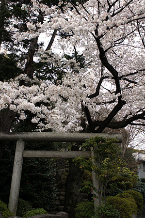DSC05870m