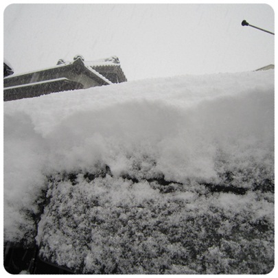 20120202 雪2(車の屋根)