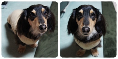 20120212 004(MARO)