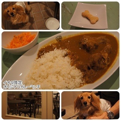 20120616 Jota TAKAHASHI COFFEE