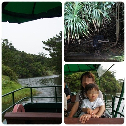 20120604 湖水 観賞舟1