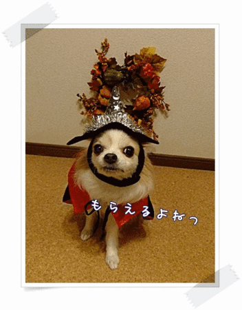 良い子だもんね