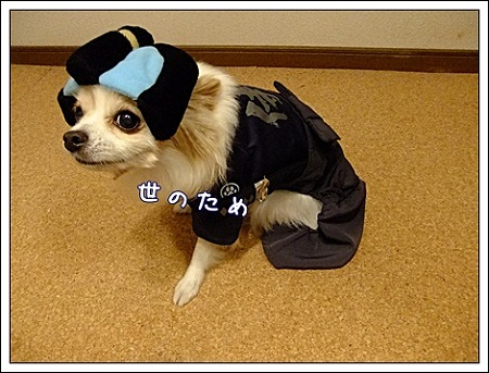 世の為