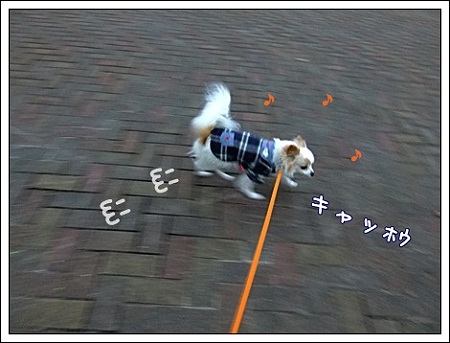 ダッシュ