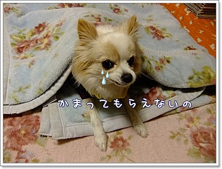 悲しい