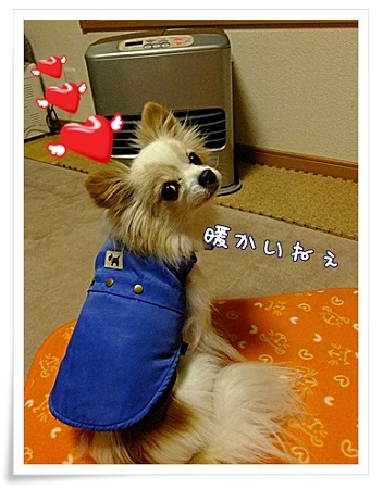 暖かい