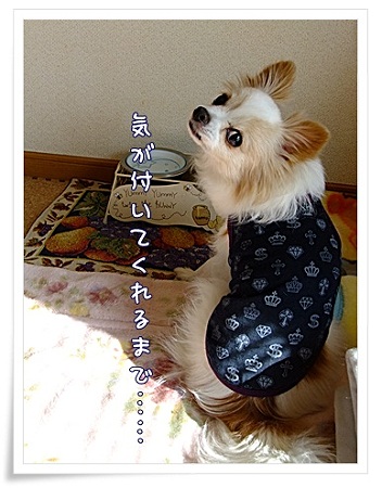 気づくまで