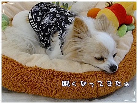 眠い