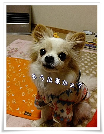 出来た?