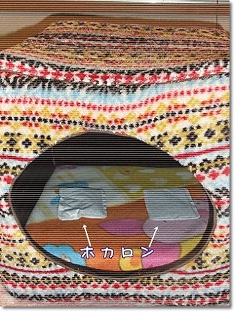 ホカロン