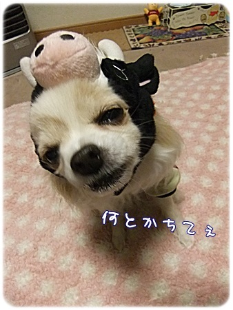 何とかして~