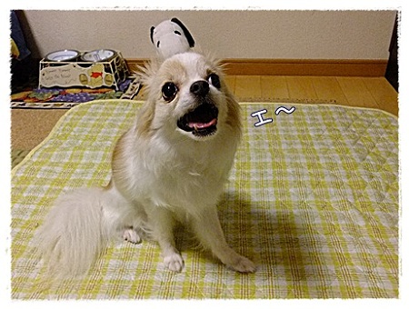 ビックリ