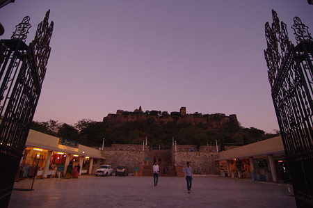 IMGP1334