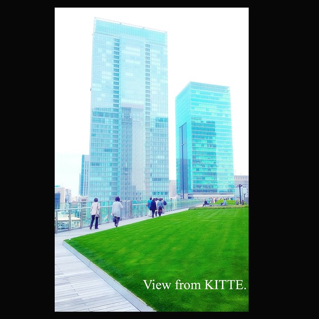 KITTEのグリーン