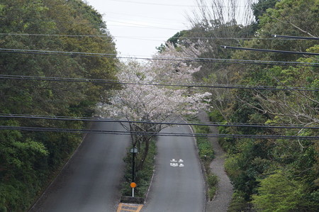賢島駅の写真0055