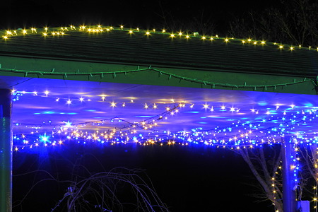 河村瑞賢公園の夜景-2