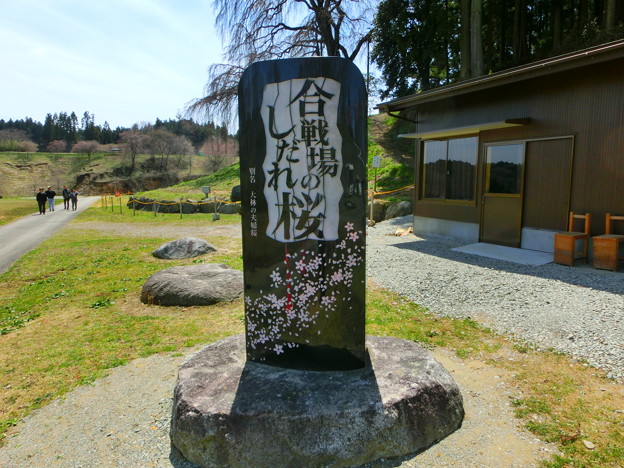 CIMG0565
