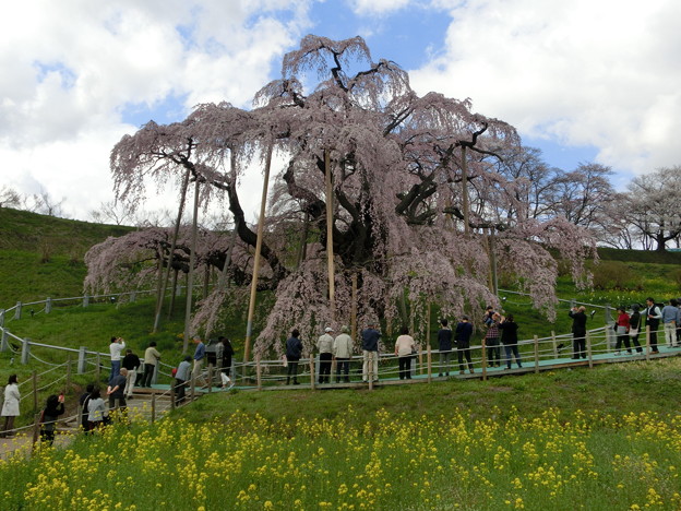 CIMG0612