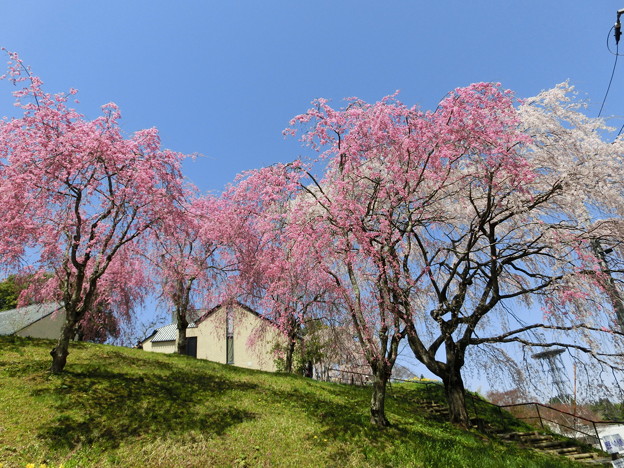 CIMG0646
