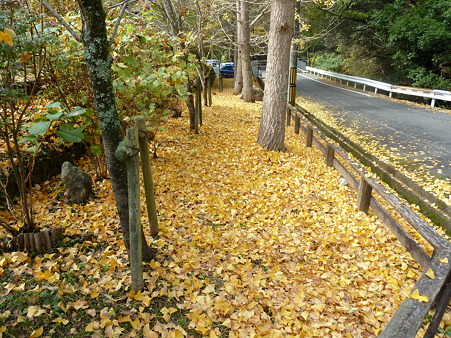 施福寺 (6)
