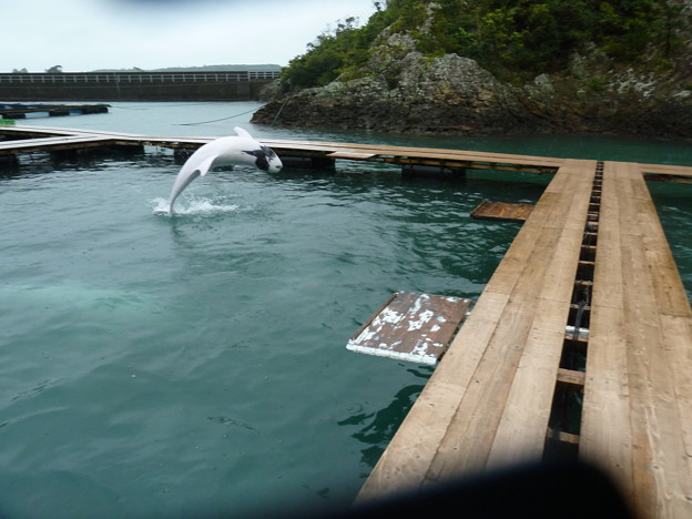 20150413_クジラの博物館 (2)