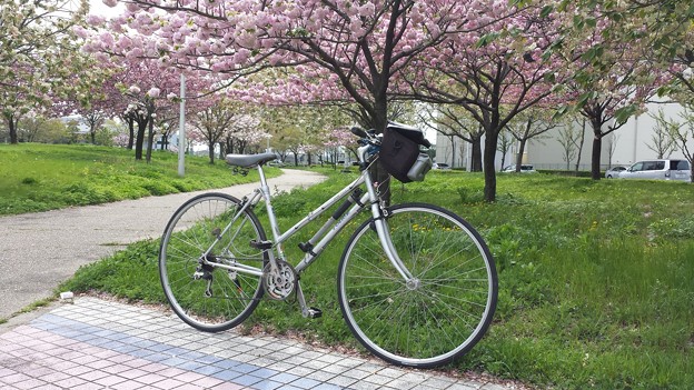 20150416_135233
