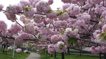 20150416_135304