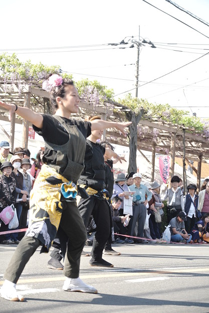 20150426_452