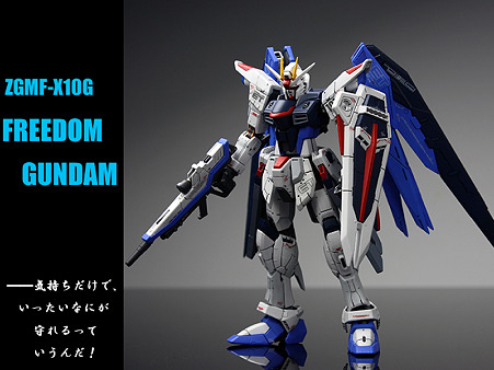 freedom005