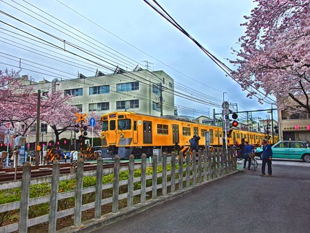 中野通り「西武新宿線(HDRフィルタ)」IMGP1563_R