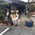 Photos: 信楽　たぬき村