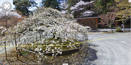 kyoto danyuanyeshenshe