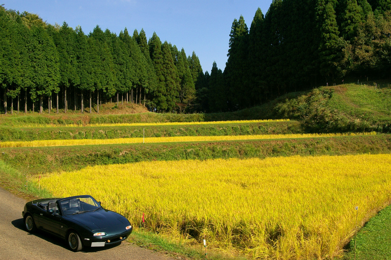 また素敵な場所に出たので再び写真撮影